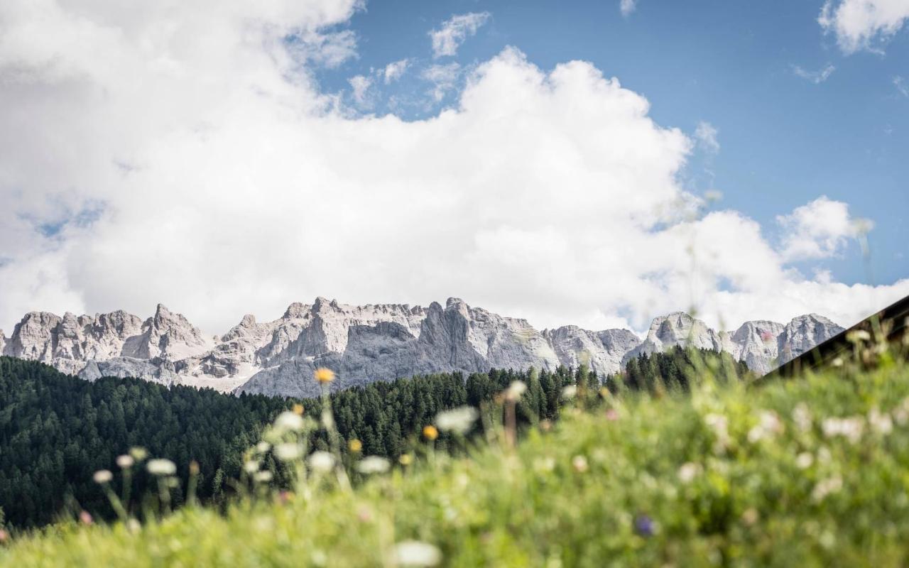 Cadepunt The Dolomites Lodge Selva di Val Gardena Dış mekan fotoğraf